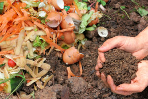 Du compost à disposition