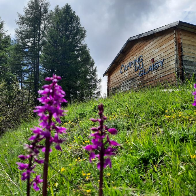 Ouverture du camping du Glaisy le 7 juin 2024
