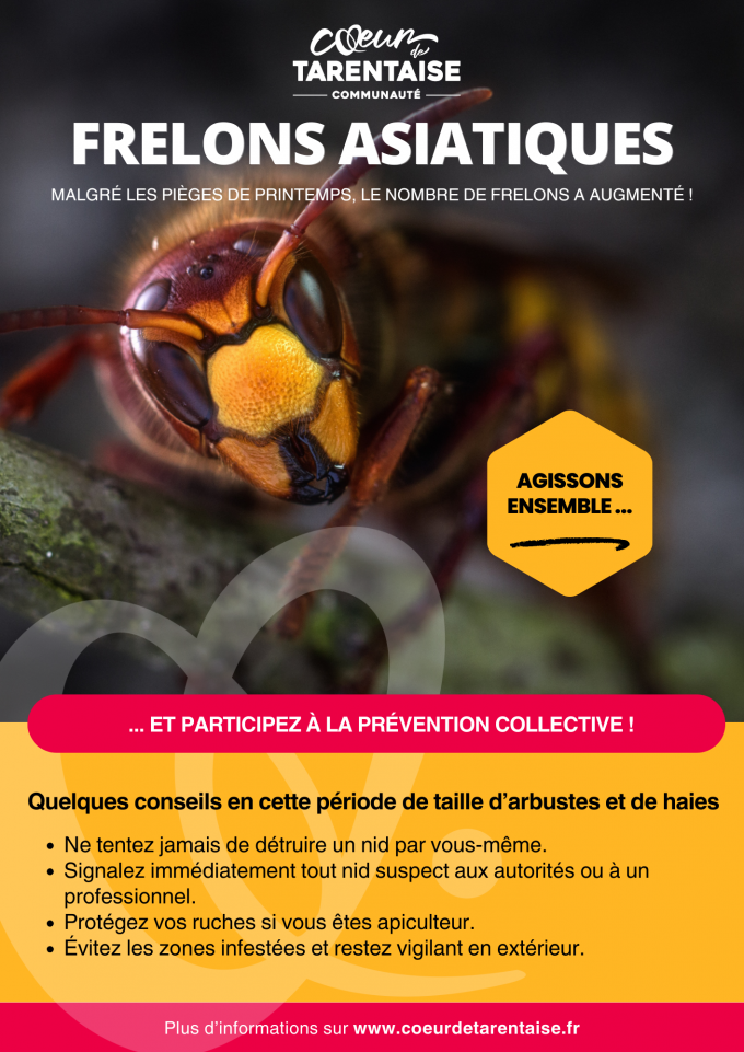 [ENVIRONNEMENT]                              Alerte frelon asiatique