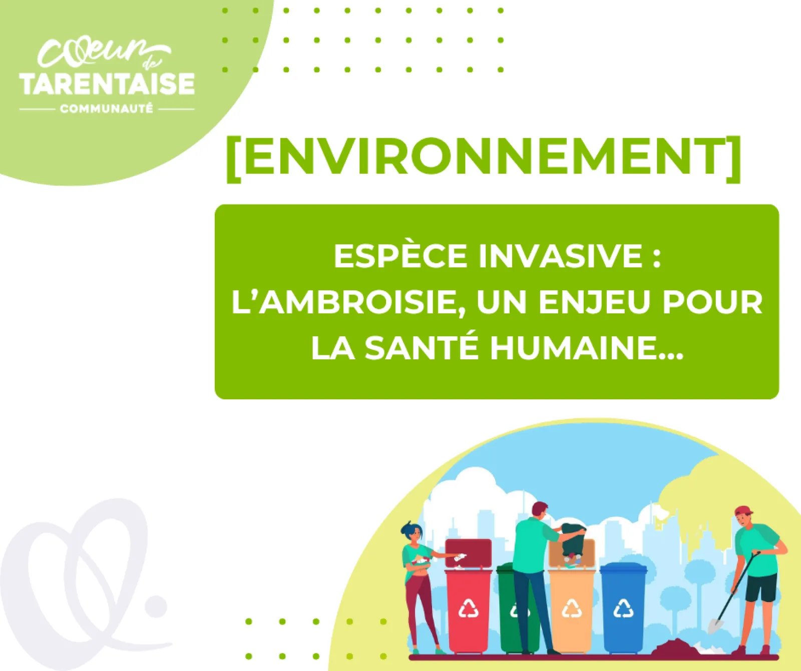 Image pour Espèce invasive : l’Ambroisie, un enjeu pour la santé Humaine